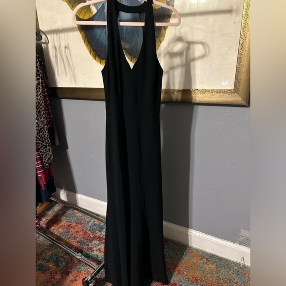 Theia long dress. V neck with mesh inset down back. eUC